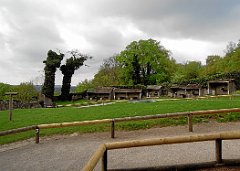 DSCN7347