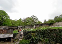 DSCN7381