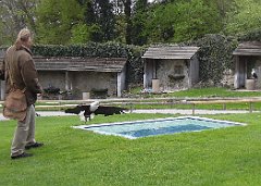 DSCN7496