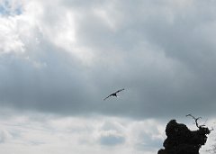DSCN7554