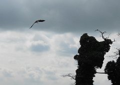 DSCN7555