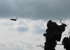 DSCN7557
