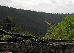 DSCN7558