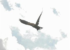 DSCN7573