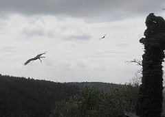 DSCN7586